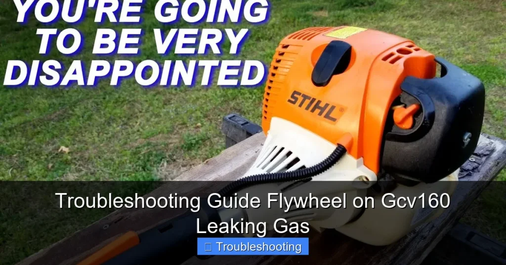 Troubleshooting Guide Flywheel on Gcv160 Leaking Gas
