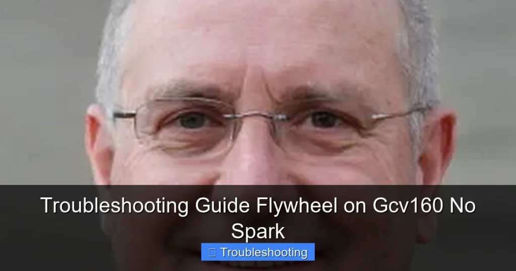 Troubleshooting Guide Flywheel on Gcv160 No Spark