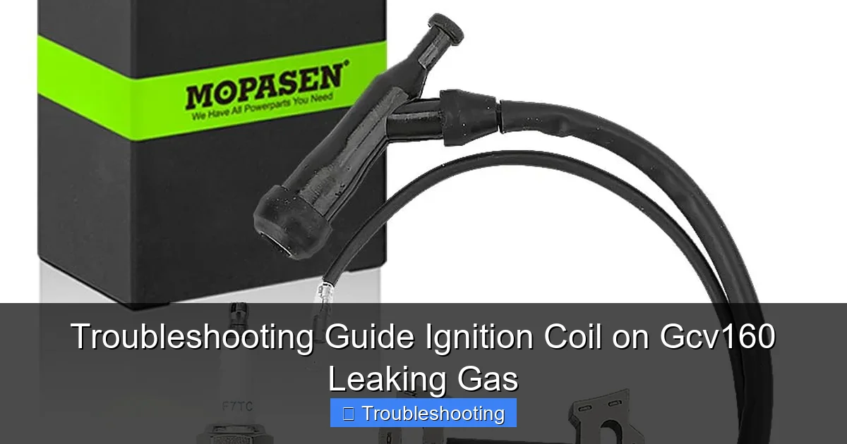 Troubleshooting Guide Ignition Coil on Gcv160 Leaking Gas