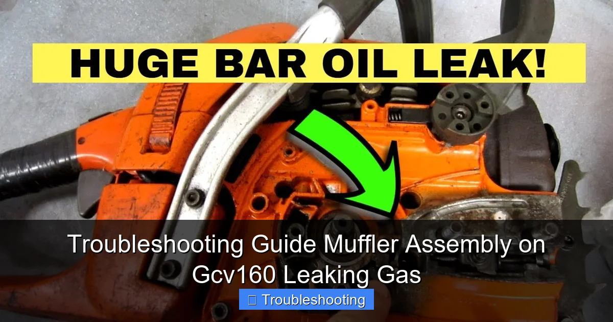 Troubleshooting Guide Muffler Assembly on Gcv160 Leaking Gas