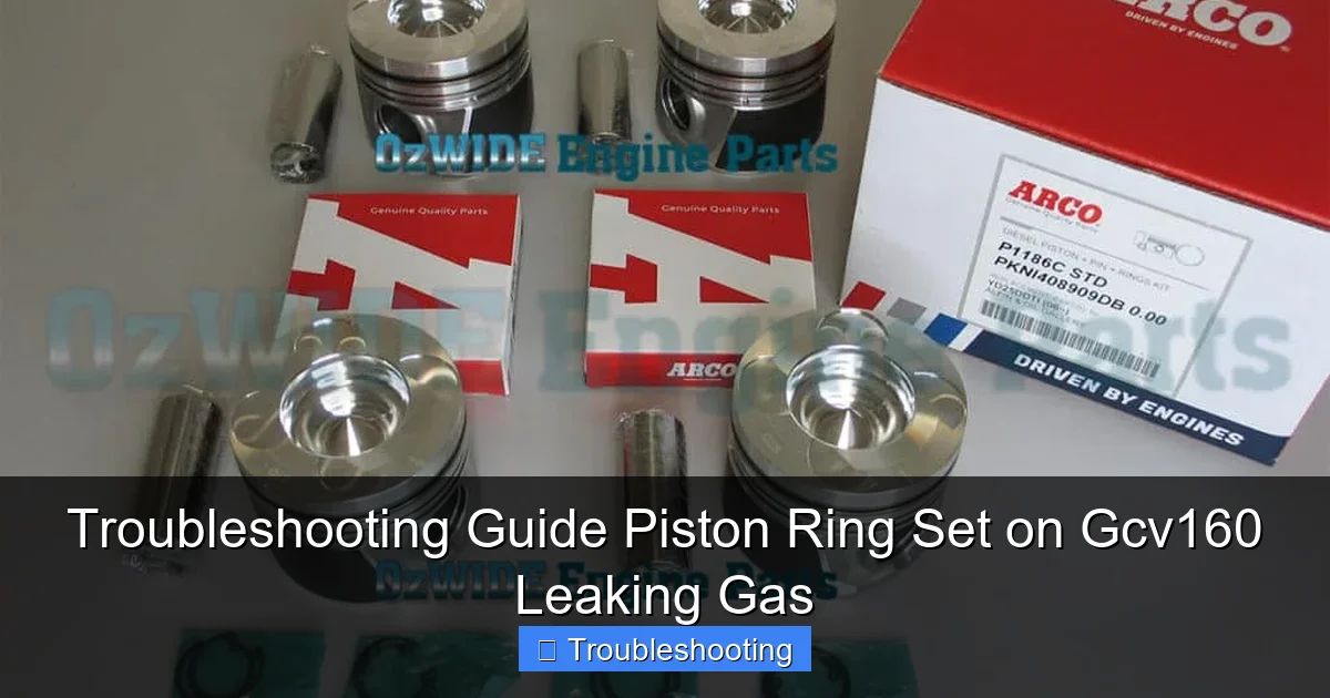 Troubleshooting Guide Piston Ring Set on Gcv160 Leaking Gas